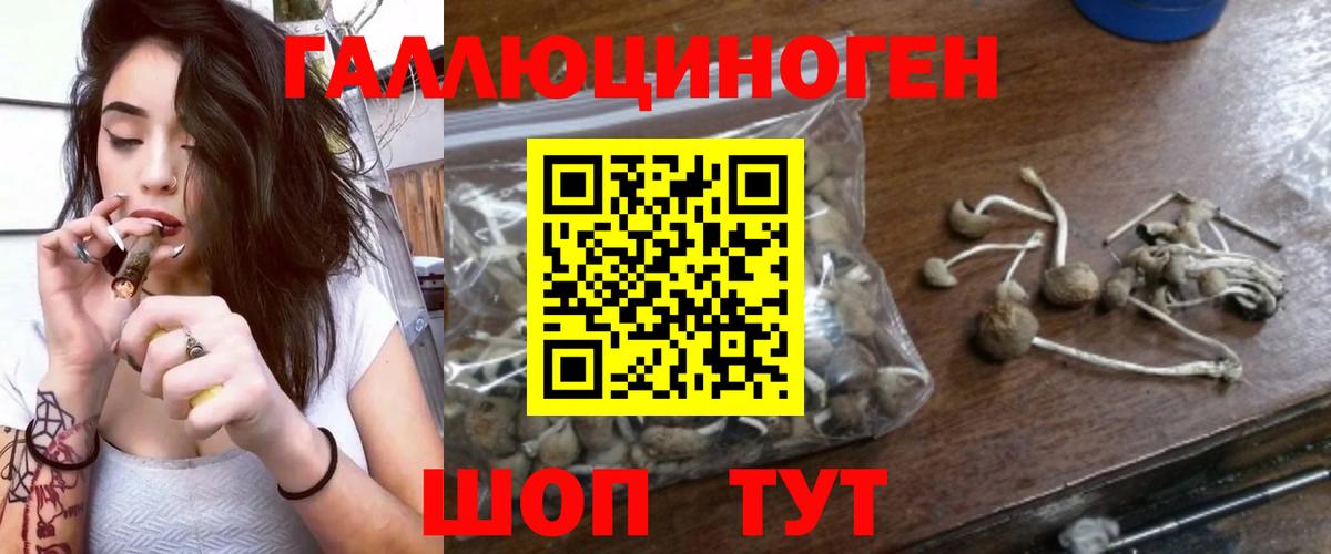 Псилоцибиновые грибы Cubensis Челябинск
